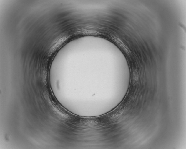 X0000096150533200802081414