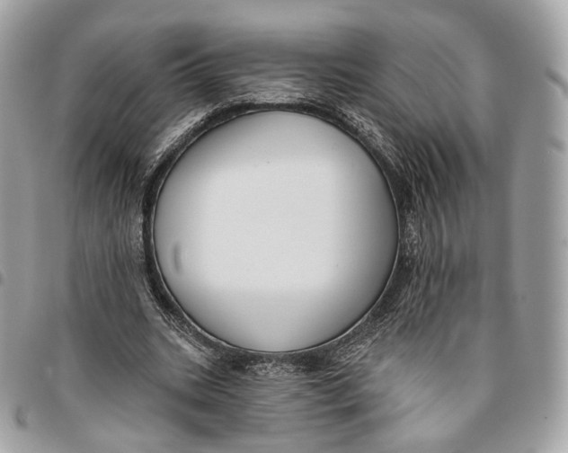 X0000096150535200802081414