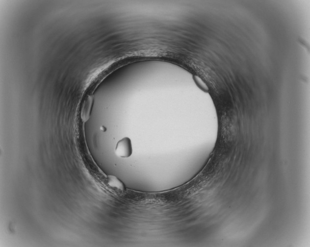 X0000096150536200802081414