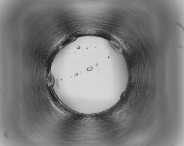 X0000096150538200802081414