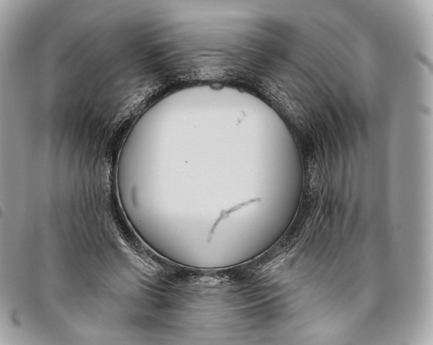 X0000096150542200802081414