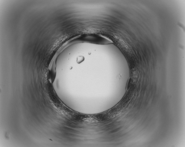 X0000096150544200802081414