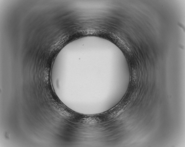 X0000096150545200802081414