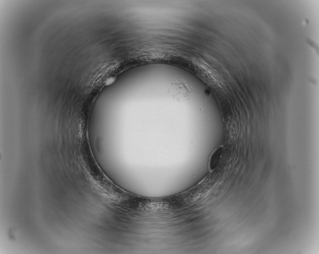 X0000096150546200802081414