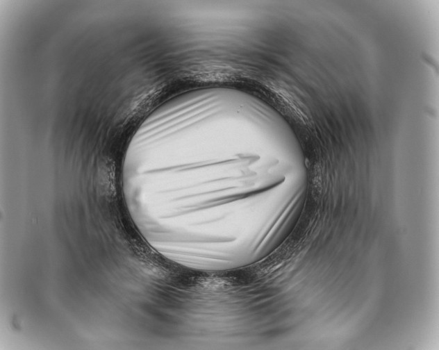 X0000096150547200802081414