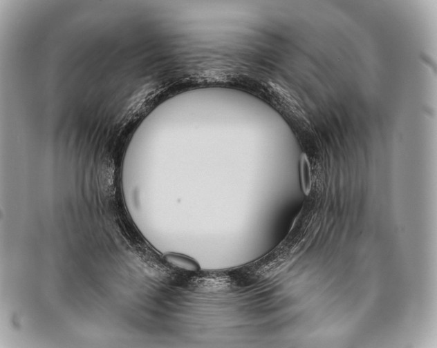 X0000096150548200802081414