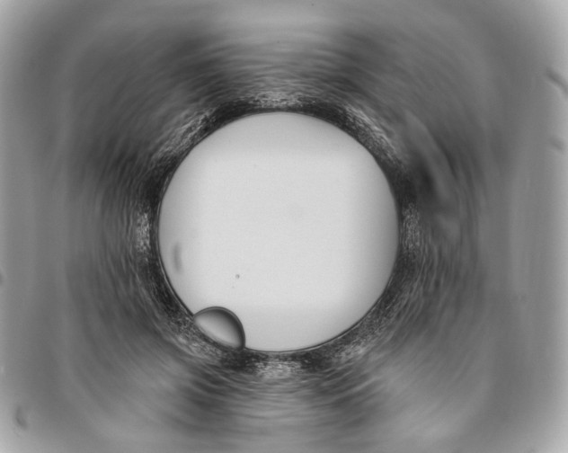 X0000096150549200802081414