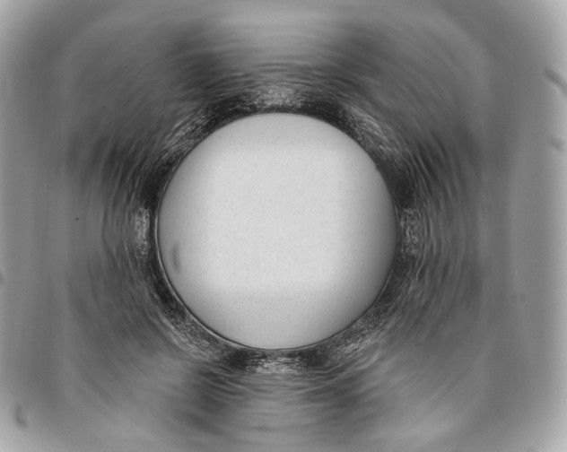 X0000096150550200802081414