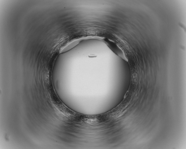 X0000096150552200802081414