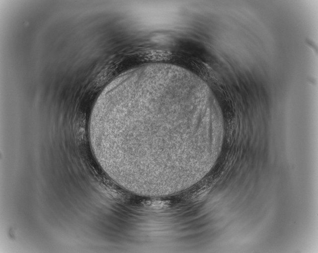 X0000096150553200802081414