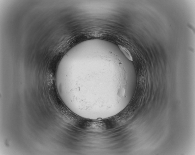 X0000096150555200802081414