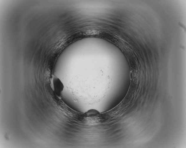 X0000096150556200802081414