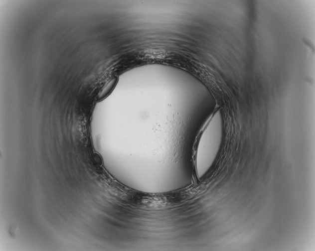 X0000096150559200802081414