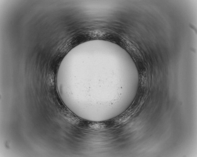 X0000096150561200802081414