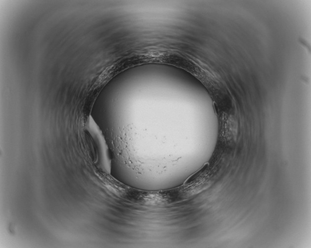 X0000096150562200802081414