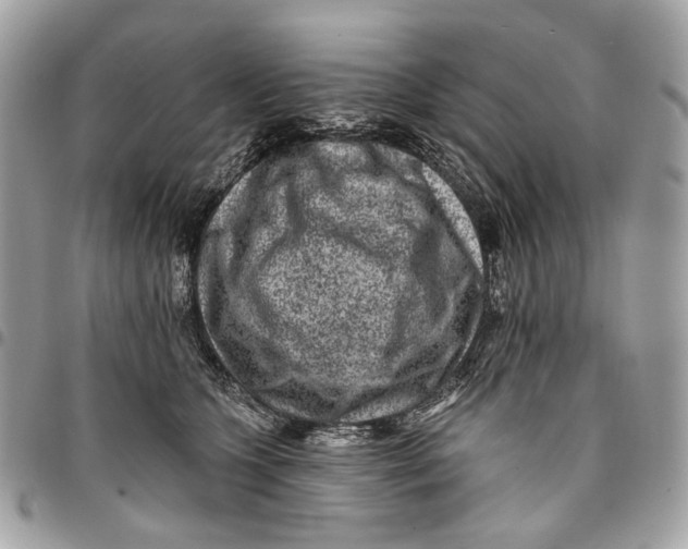 X0000096150563200802081415