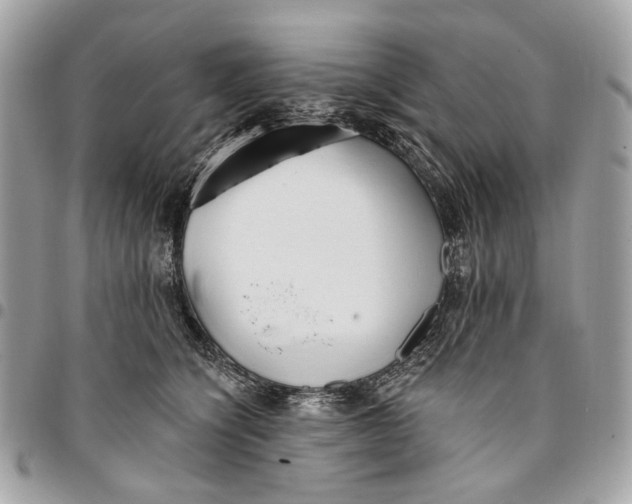 X0000096150564200802081415