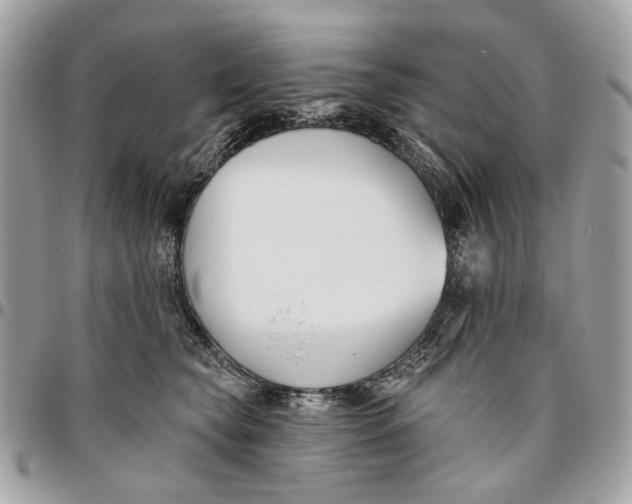 X0000096150565200802081415