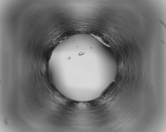 X0000096150566200802081415