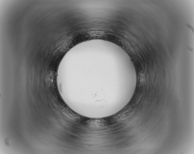 X0000096150567200802081415