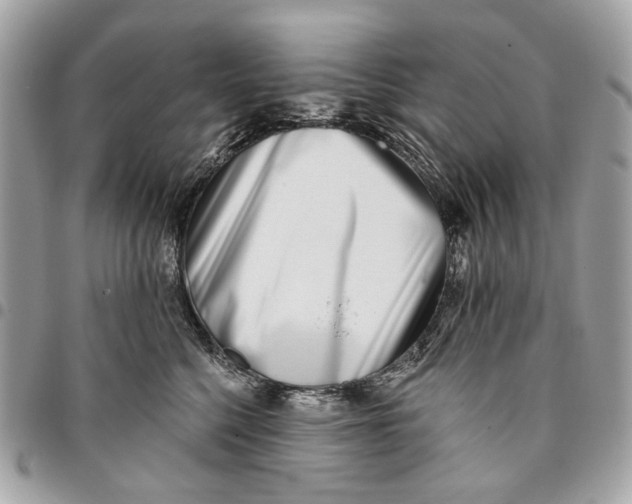 X0000096150568200802081415