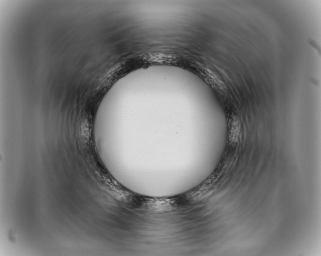 X0000096150569200802081415