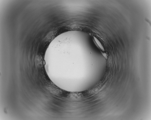 X0000096150571200802081415