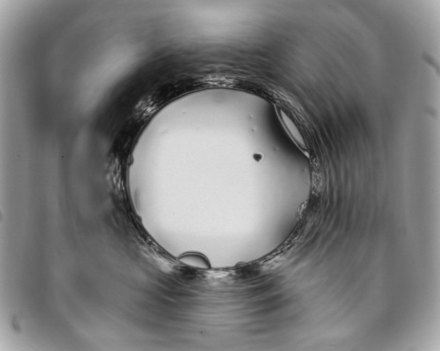 X0000096150573200802081415