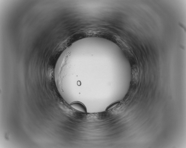 X0000096150574200802081415