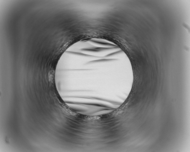 X0000096150576200802081415