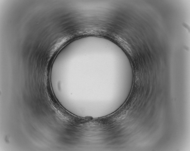 X0000096150578200802081414