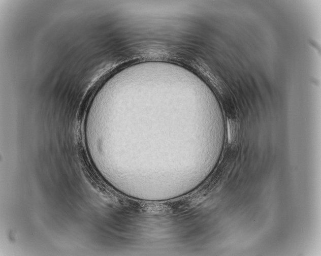 X0000096150579200802081414