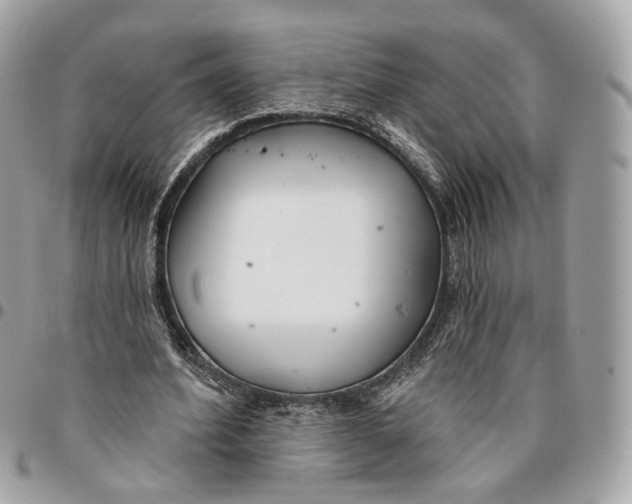 X0000096150580200802081414