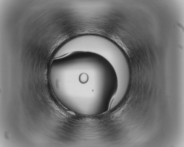 X0000096150585200802081414