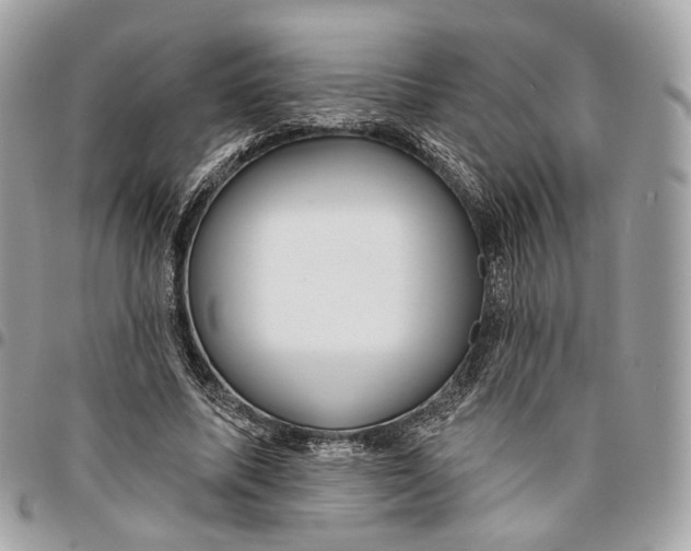 X0000096150587200802081414