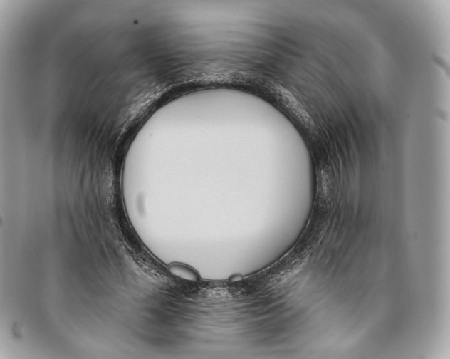 X0000096150588200802081414