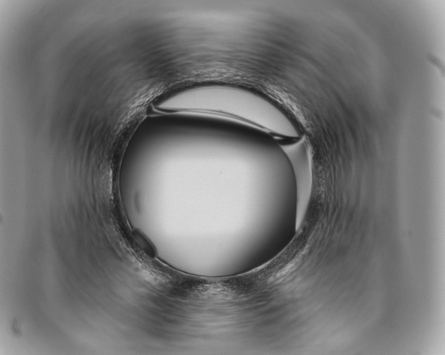 X0000096150589200802081414