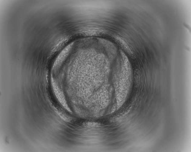 X0000096150590200802081414