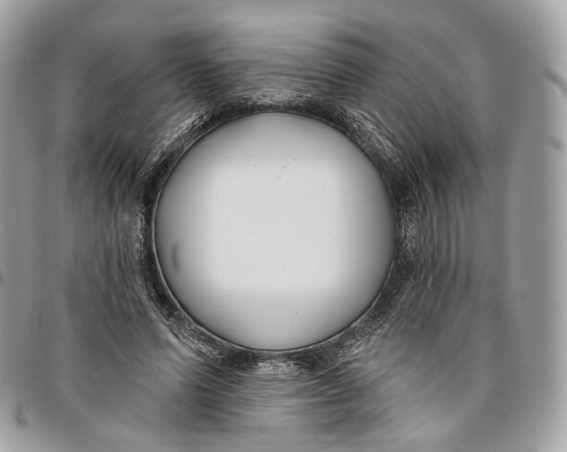 X0000096150591200802081414