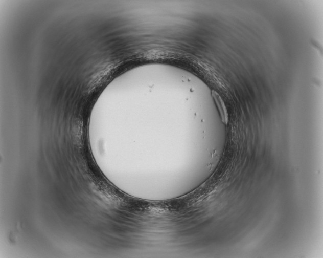 X0000096150592200802081414