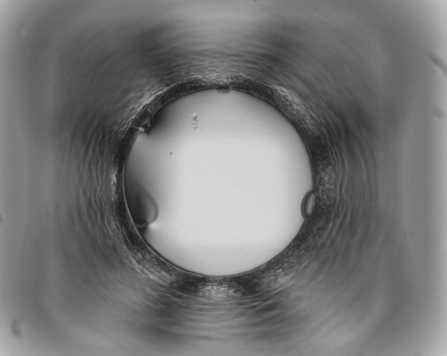 X0000096150596200802081414