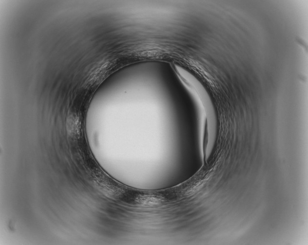 X0000096150597200802081414