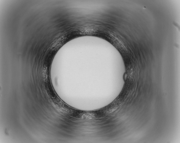 X0000096150599200802081414