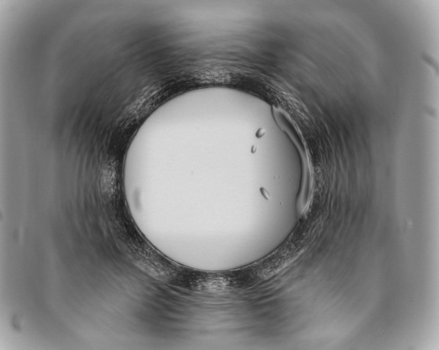 X0000096150600200802081414