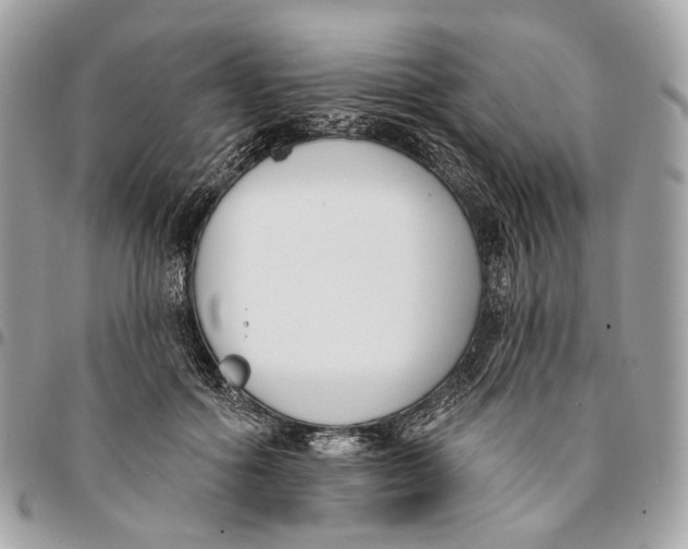 X0000096150602200802081414