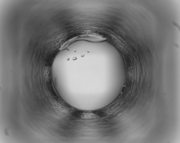 X0000096150605200802081413