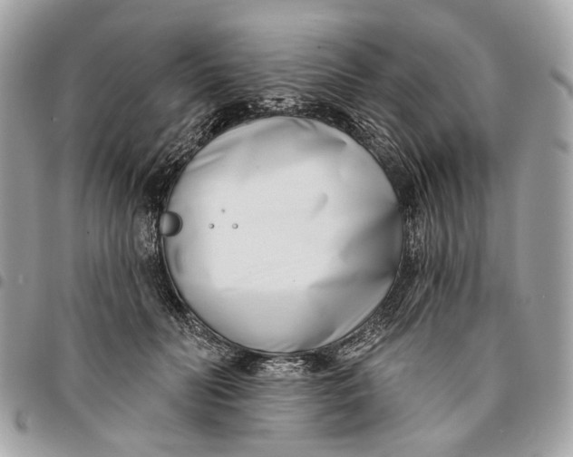 X0000096150606200802081413