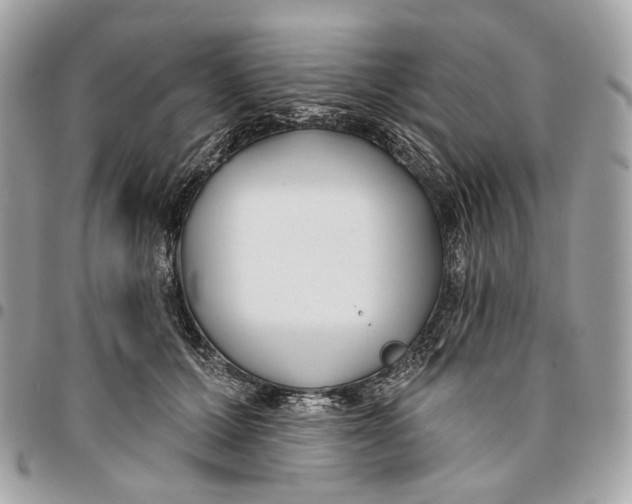 X0000096150607200802081413