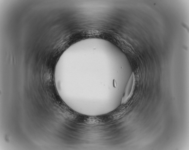 X0000096150608200802081413