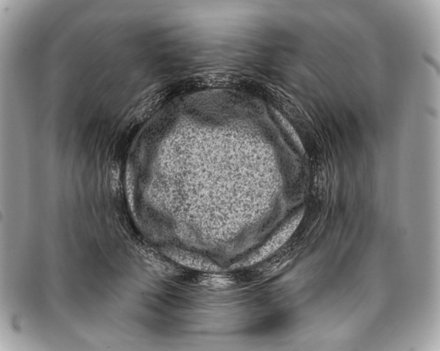 X0000096150610200802081413